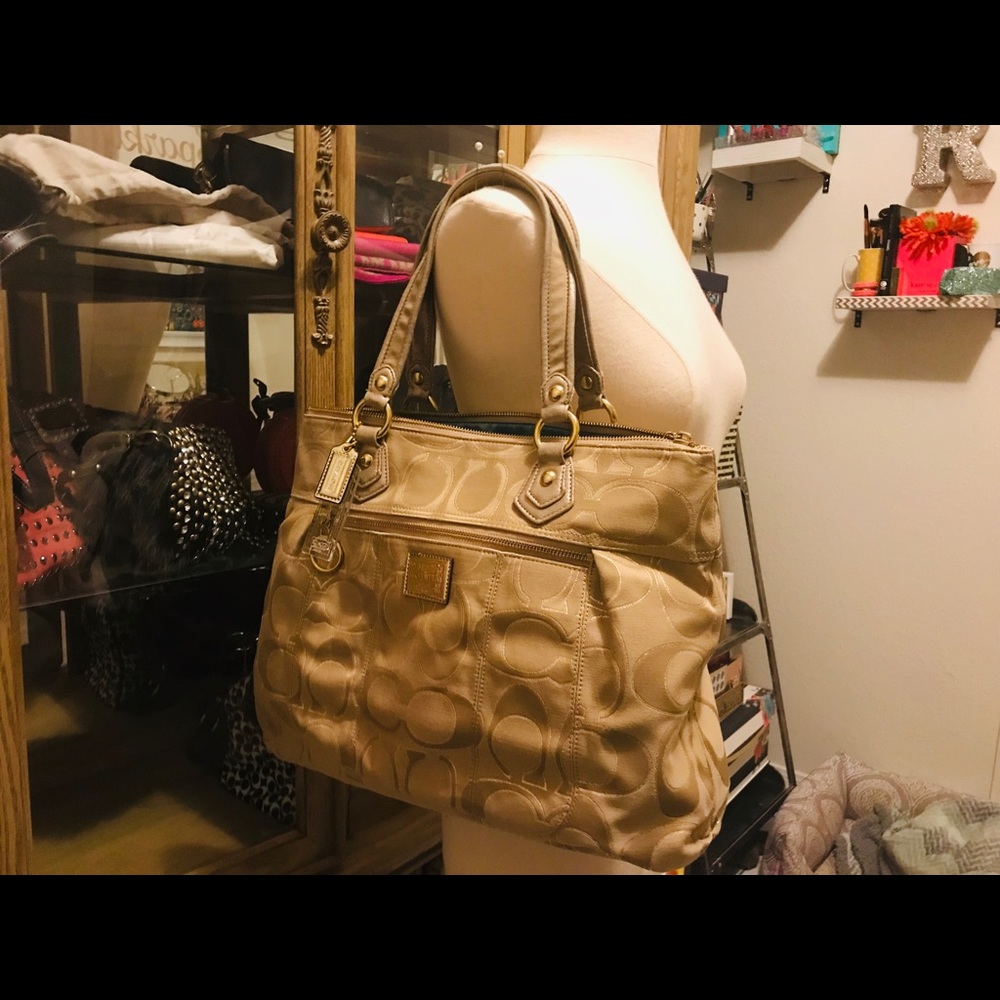 Large Poppy Signature Lurex Glam Tote/Handbag